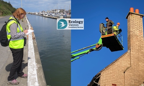 The left picture shows a female ecologist in a high visibility jacket stood at the top of quayside wall writing survey information on her note pad. The image on the right shows a male ecologist in a high visibility jacket smiling at the camera as he is positioned over the roof of a house on a cherry picker whilst he carries out a survey for bats.