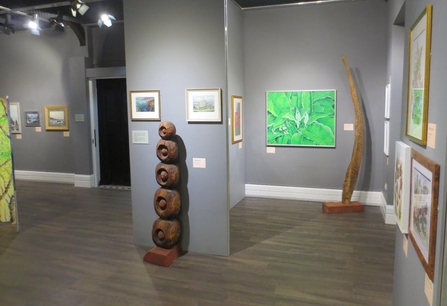 The ‘Art of Nature’ exhibition run jointly by MWT and Manx National Heritage at the House of Manannan in 2020