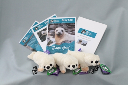 Adopt a seal pack