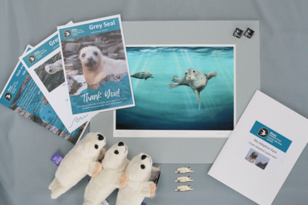 Adopt a seal pack