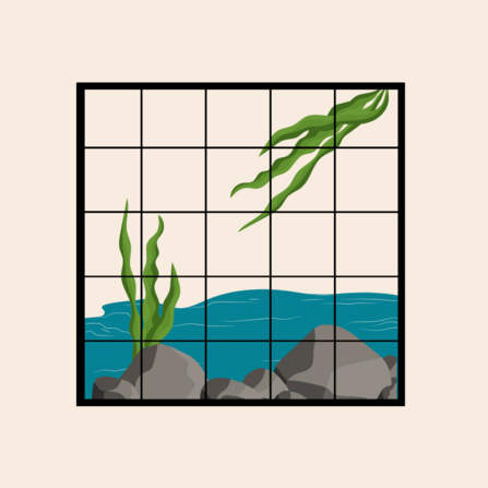 An illustrated transect of a river, grey rocks at the bottom and water up to a third. Green plants with long leaves are in the top right and bottom left corner with the whole image covered in a grid, like a transect.