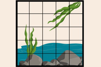 An illustrated transect of a river, grey rocks at the bottom and water up to a third. Green plants with long leaves are in the top right and bottom left corner with the whole image covered in a grid, like a transect.