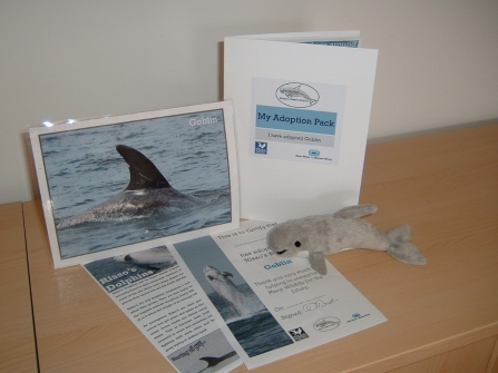 Adopt a dolphin pack
