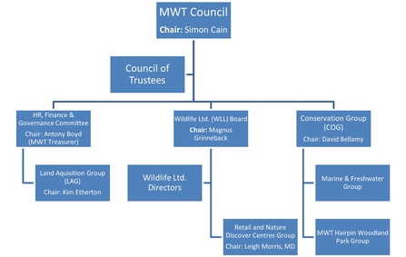 MWT Governance Structure
