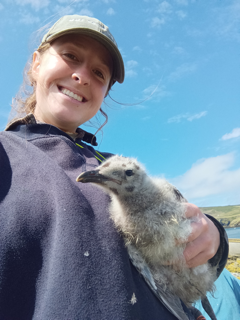 Estate Warden, Chloe Hurst, holding a juvenile gull