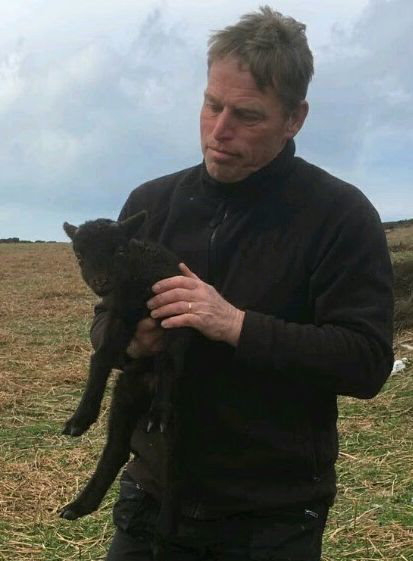 Calf warden Mike Haigh with a Loaghtan lamb